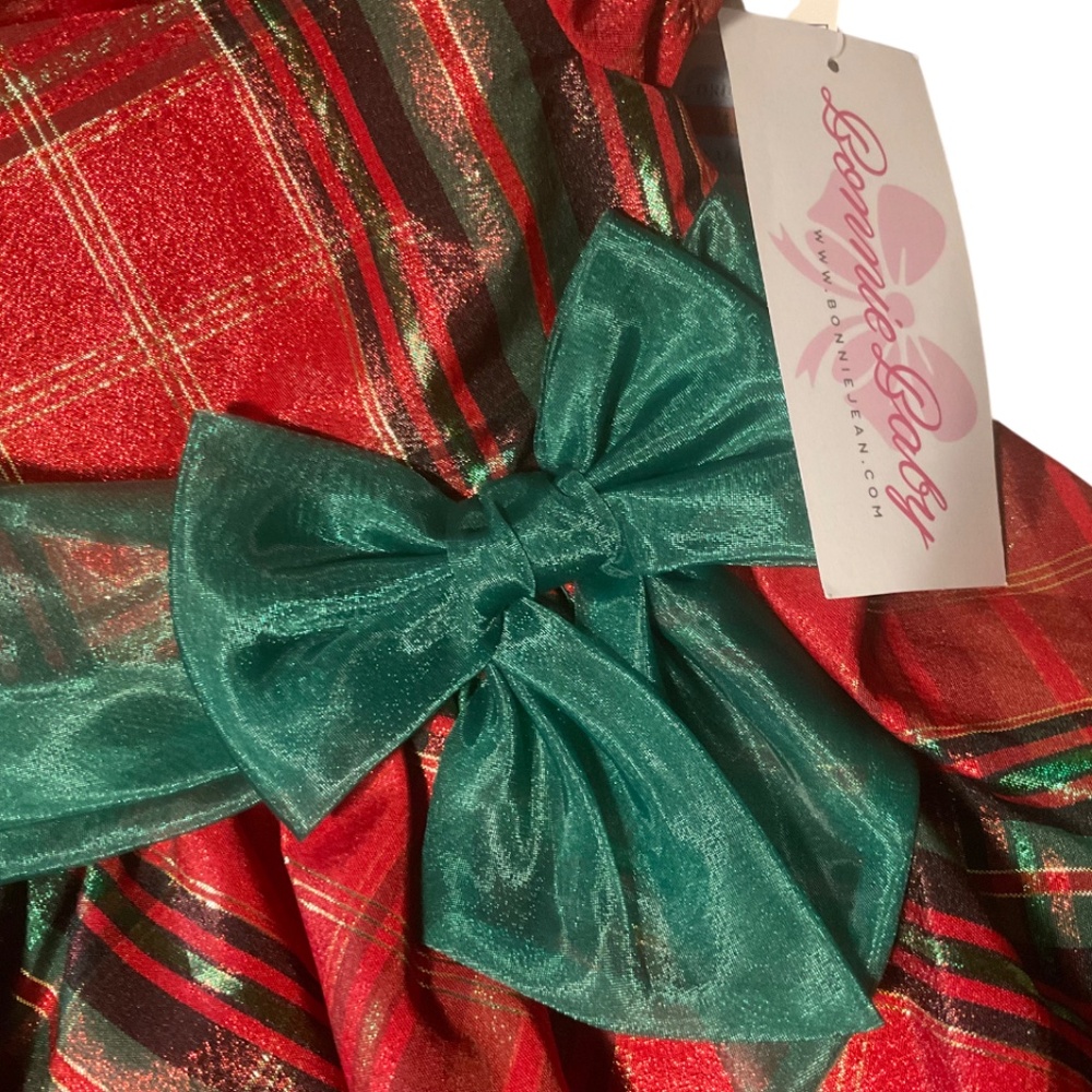 Bonnie Baby 24 Month Holiday Dress - Picture 3 of 6